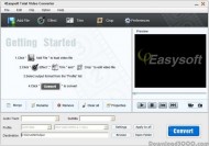 4Easysoft MKV to AVI Converter screenshot